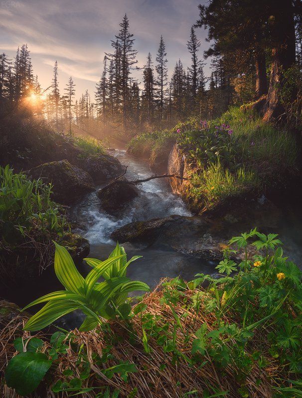 ergaki, siberia, ергаки, сибирь, саяны, sayan Таёжный глаз фото превью