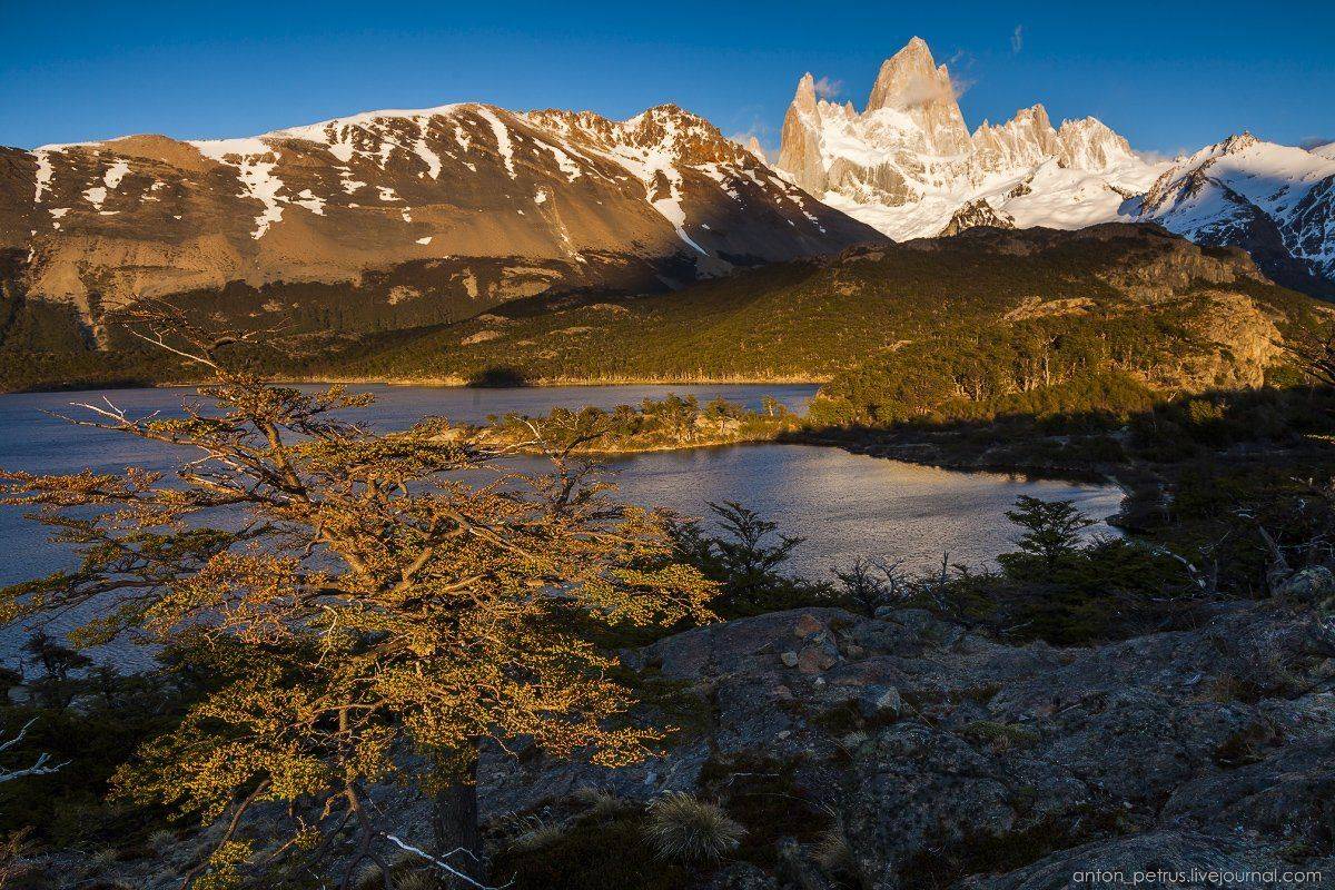 Аргентина, Горы, Патагония, Рассвет, Фитц Рой, Антон Петрусь