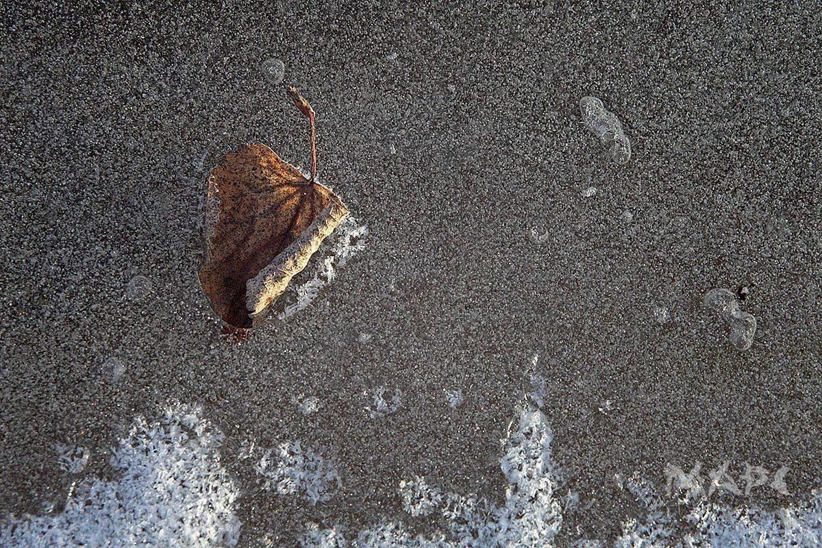 , Шангареев Марс