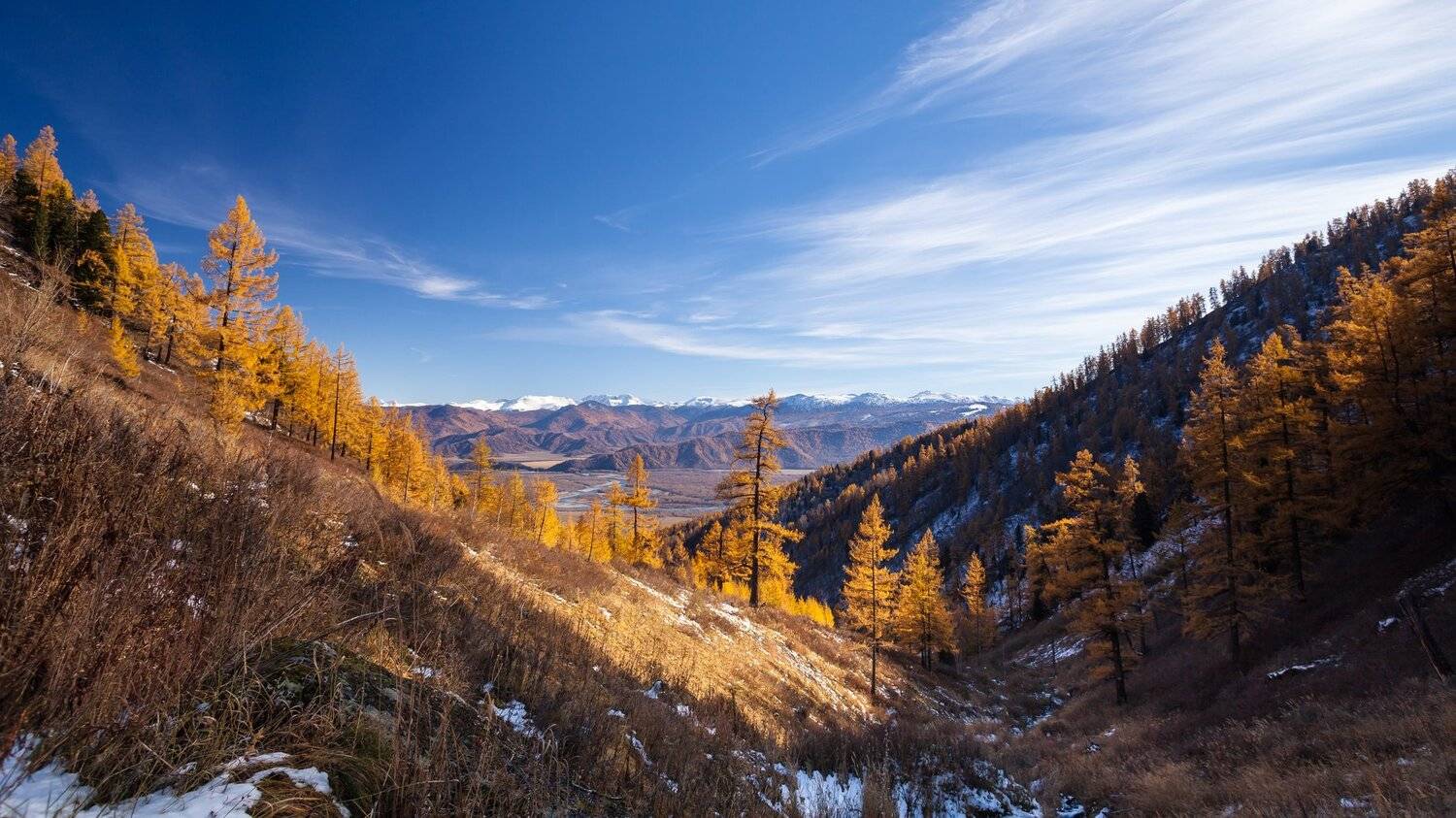 Алтай, природа, горы, деревья, осень, лес, снег, долина, река, Катунь, Иван Губанов