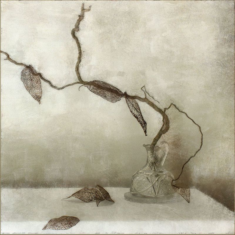 winter is coming фото превью