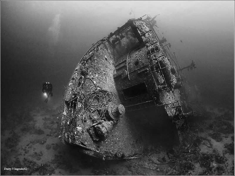 Kimon M фото превью