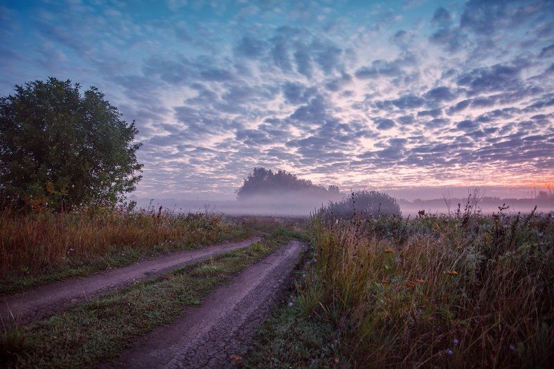 Ранним утром фото превью