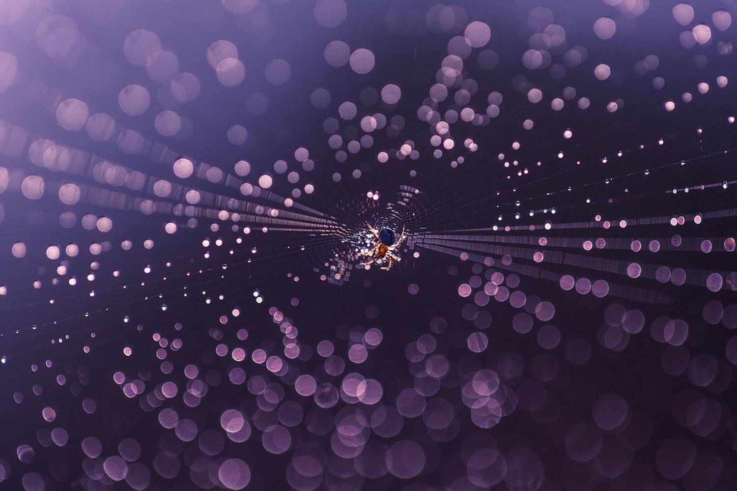 , Вячеслав Мищенко