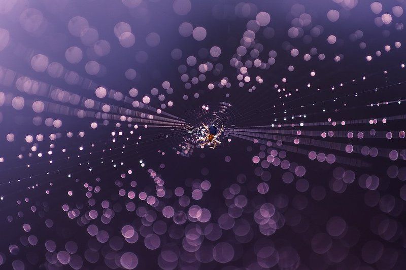 Где то в солнечной системе фото превью