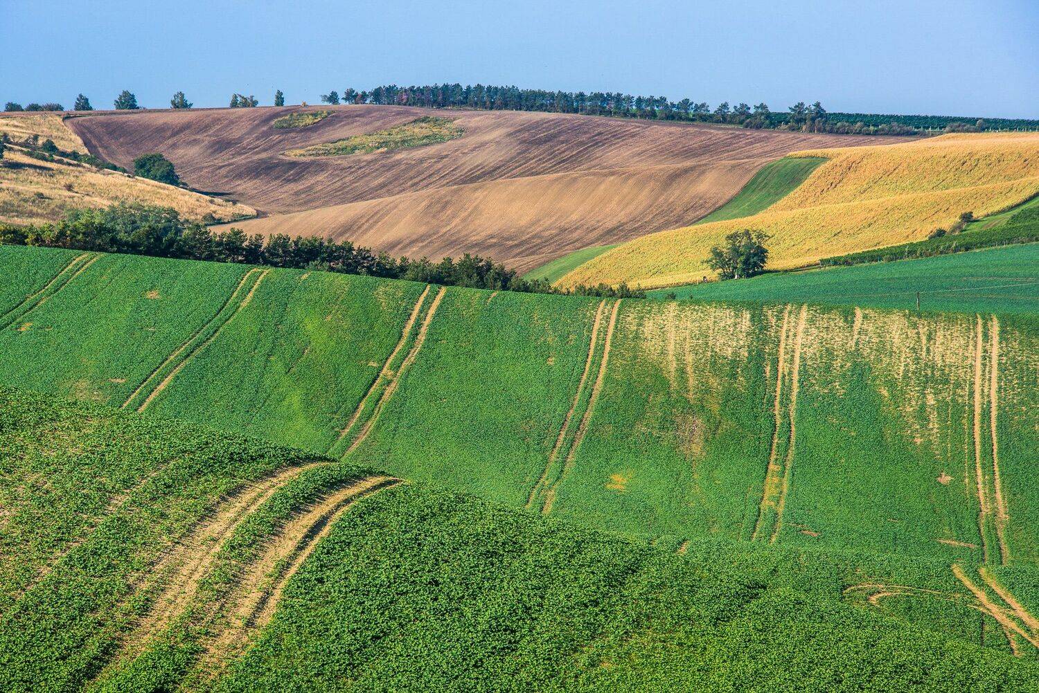 поле, осень, моравия, чехия, Василий Яковлев