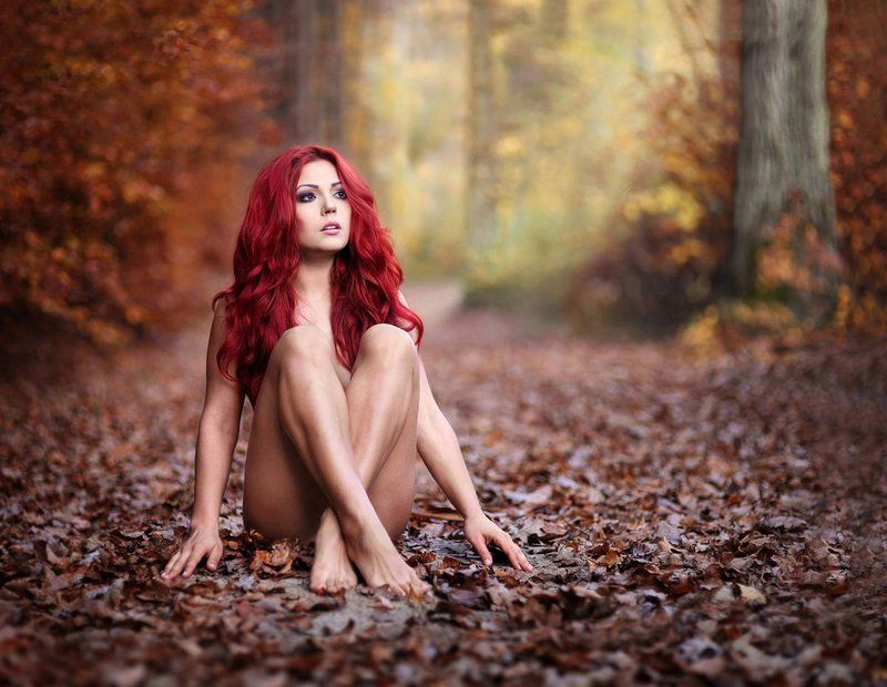 Wide Awake фото превью