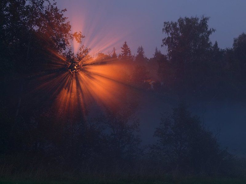 *** фото превью