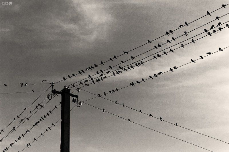 Присядем на дорожку... фото превью