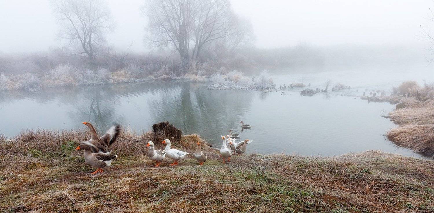 , Анатолий Зверев