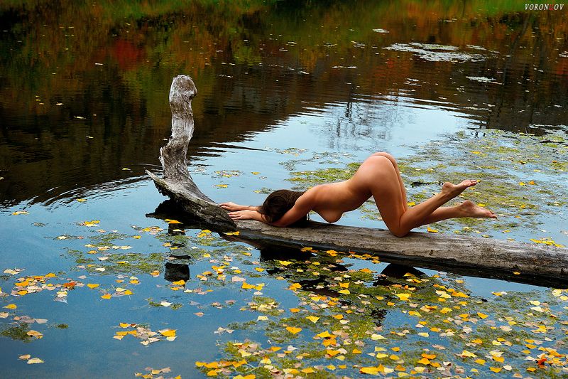 Красиво, девушка, ню, beauty, nymph, girl, nude На поклон  водяному фото превью