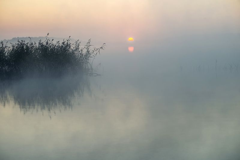 Bосход фото превью