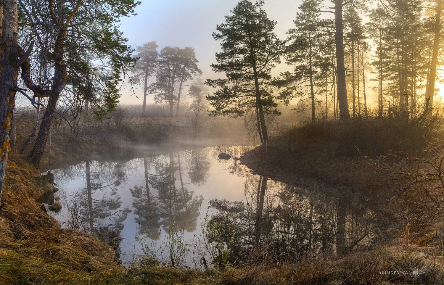 , Скиндерева Ольга