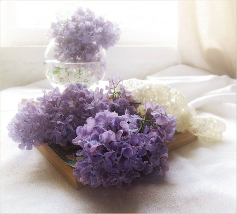 , ТАТЬЯНА ЗАХАРОВА