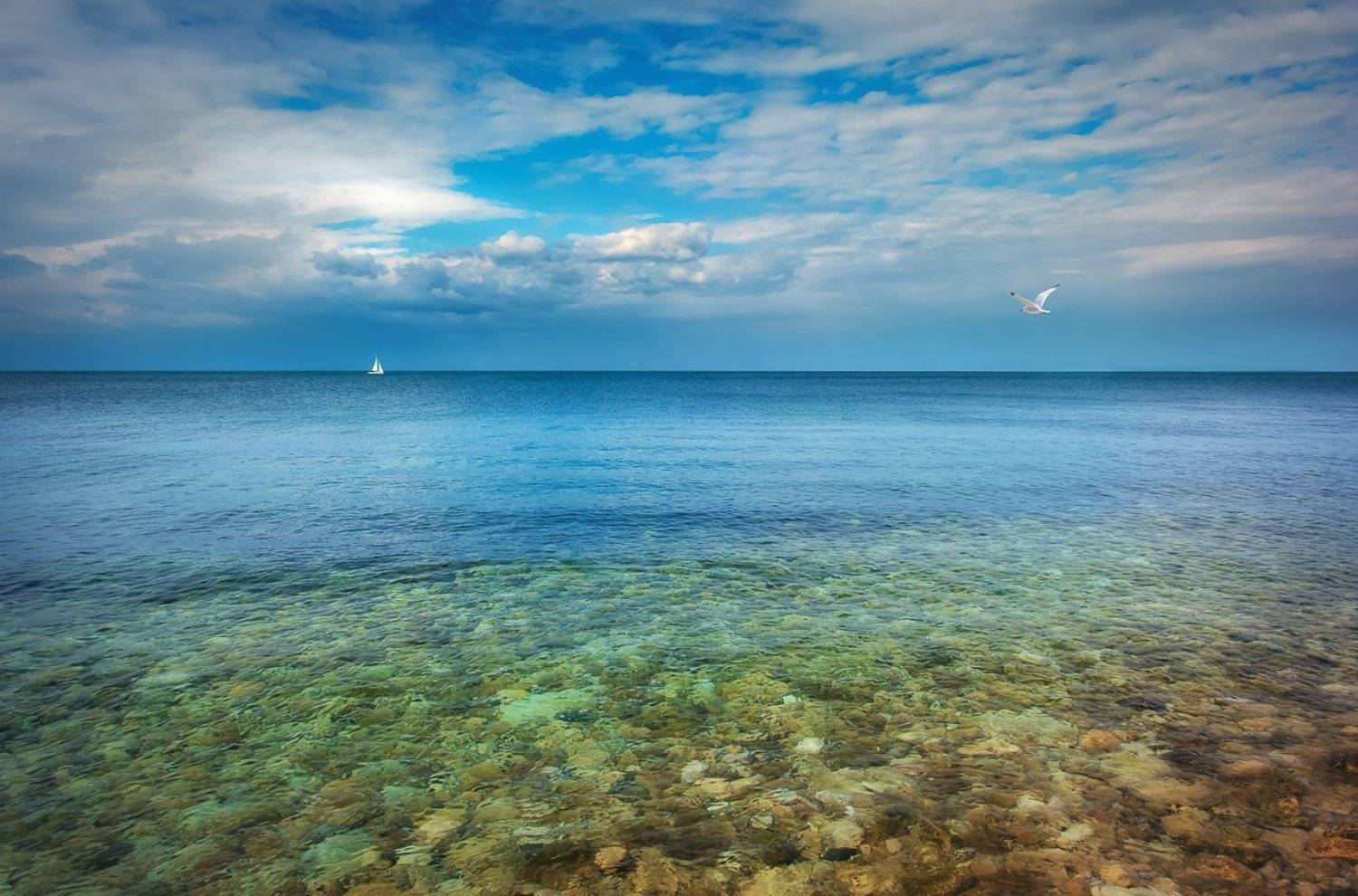 Море, Небо, Облака, Чайка, Яхта, Сергей Нестеров