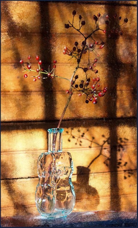 окно  фото превью