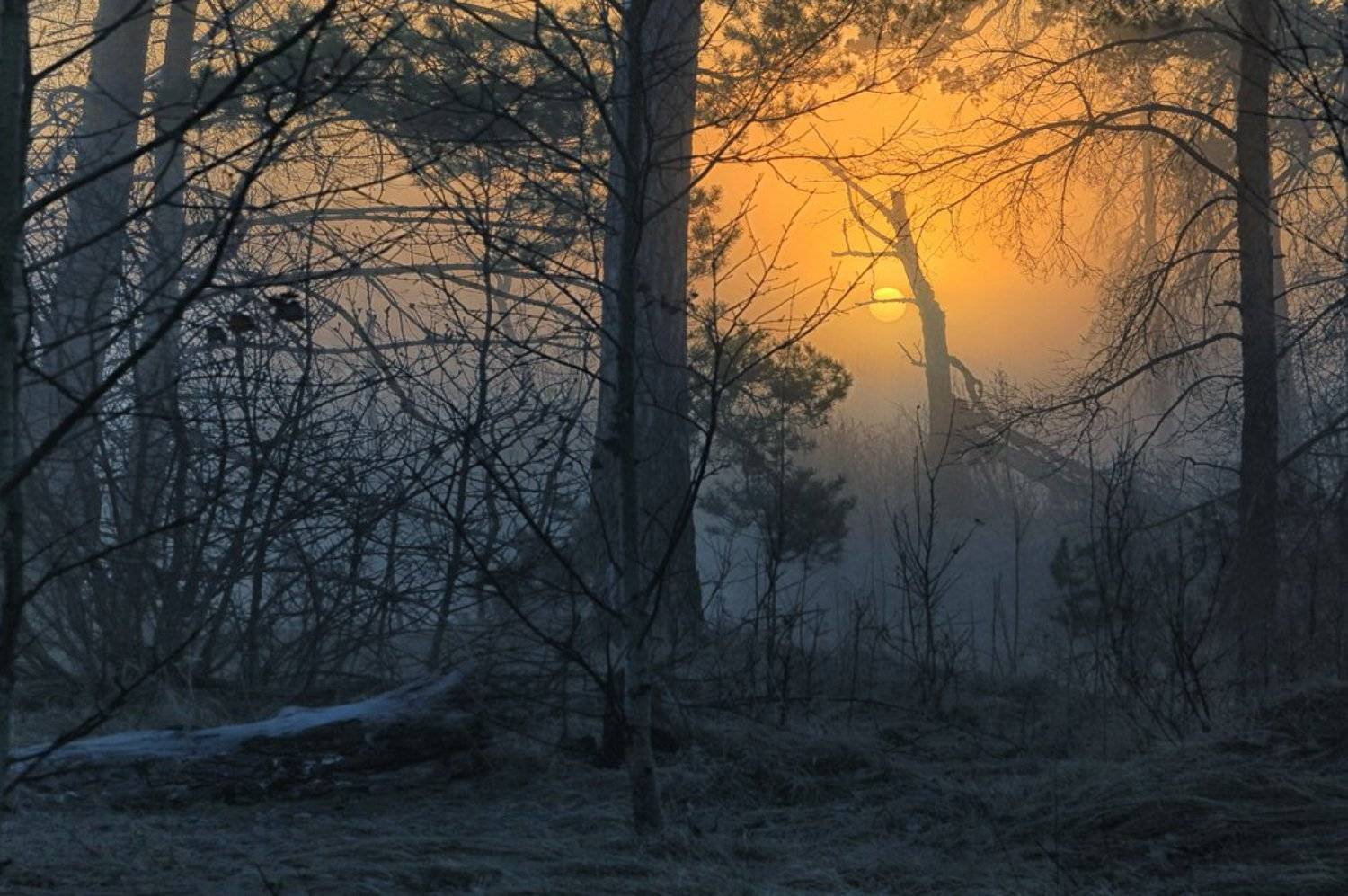 , Скиндерева Ольга