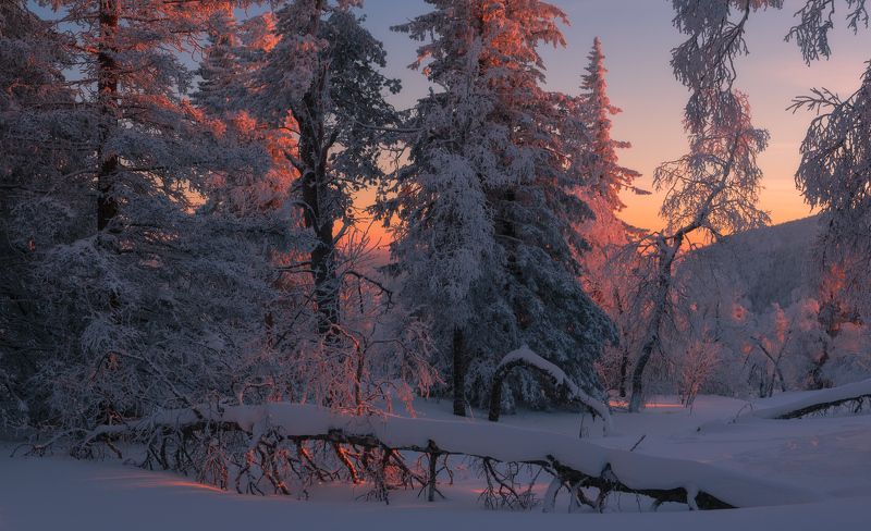 Поэзия зимнего вечера фото превью
