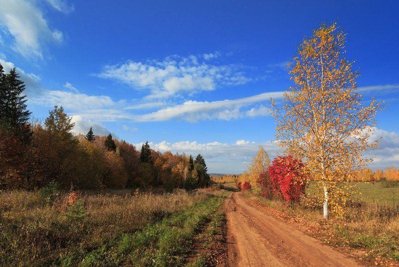 Краски осенней дороги фото превью