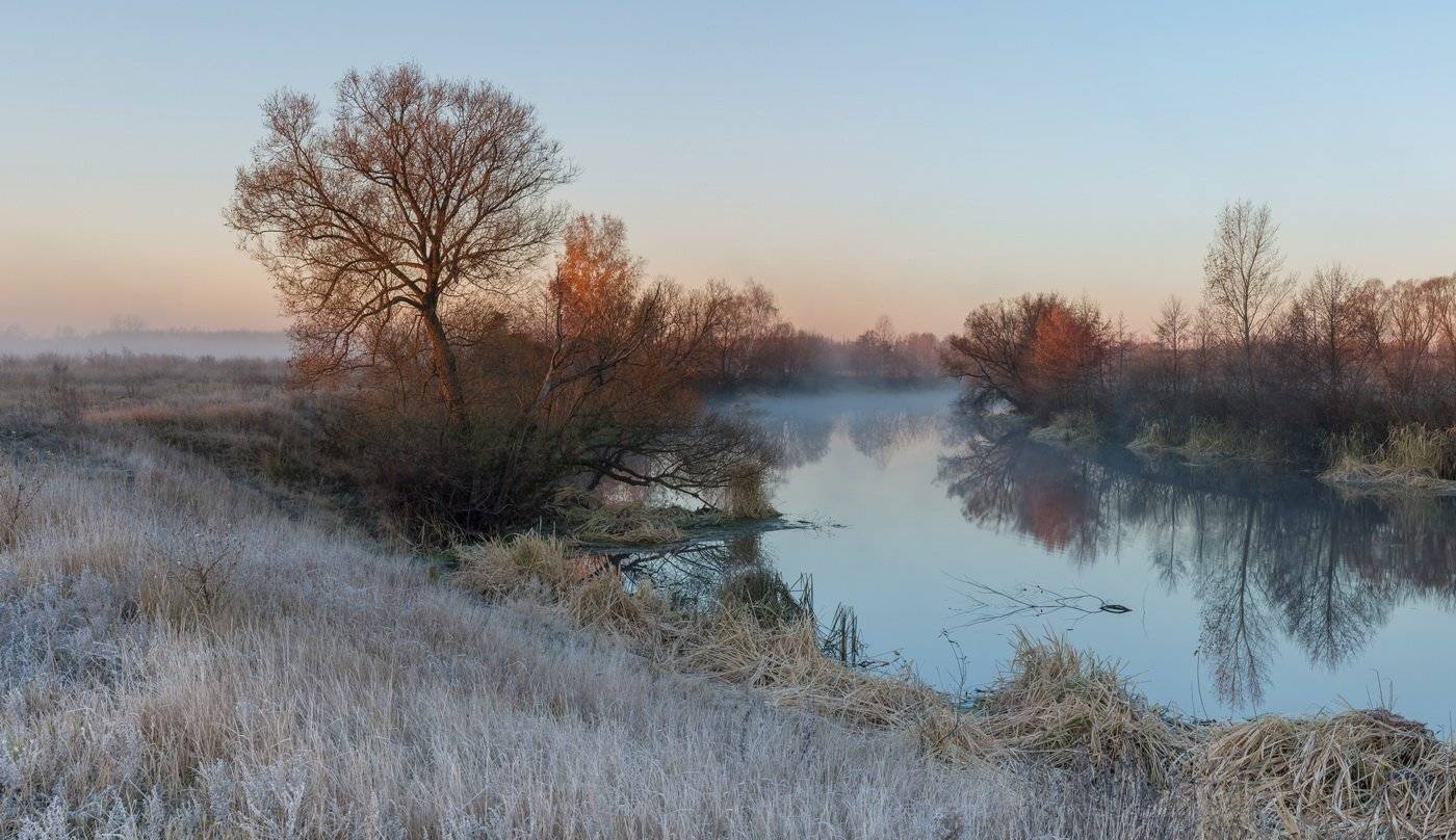 , Александр Бредихин
