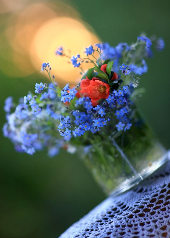 весна,цвет жизни,беларусь, ирина горюкина Радость фото превью