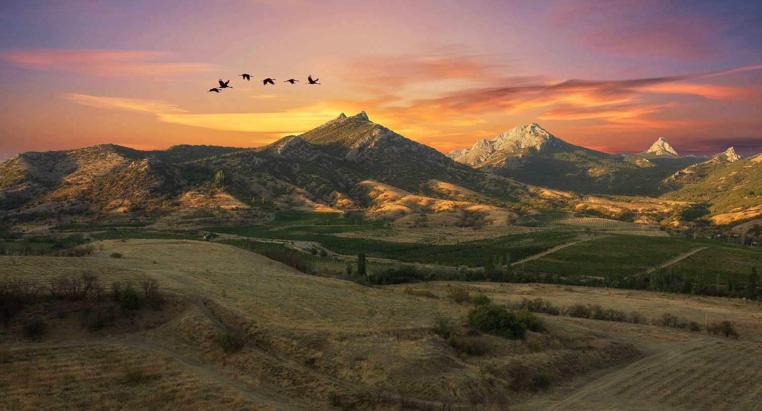 крым (п. курортное), Александр Канцур