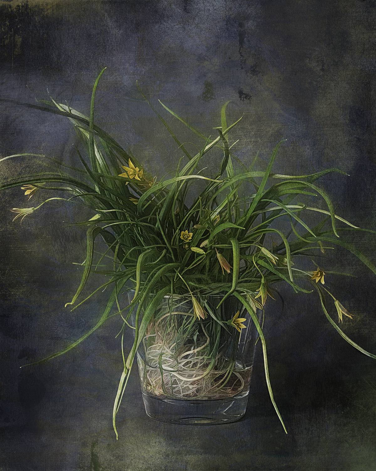 натюрморт, still-life, G Eirene