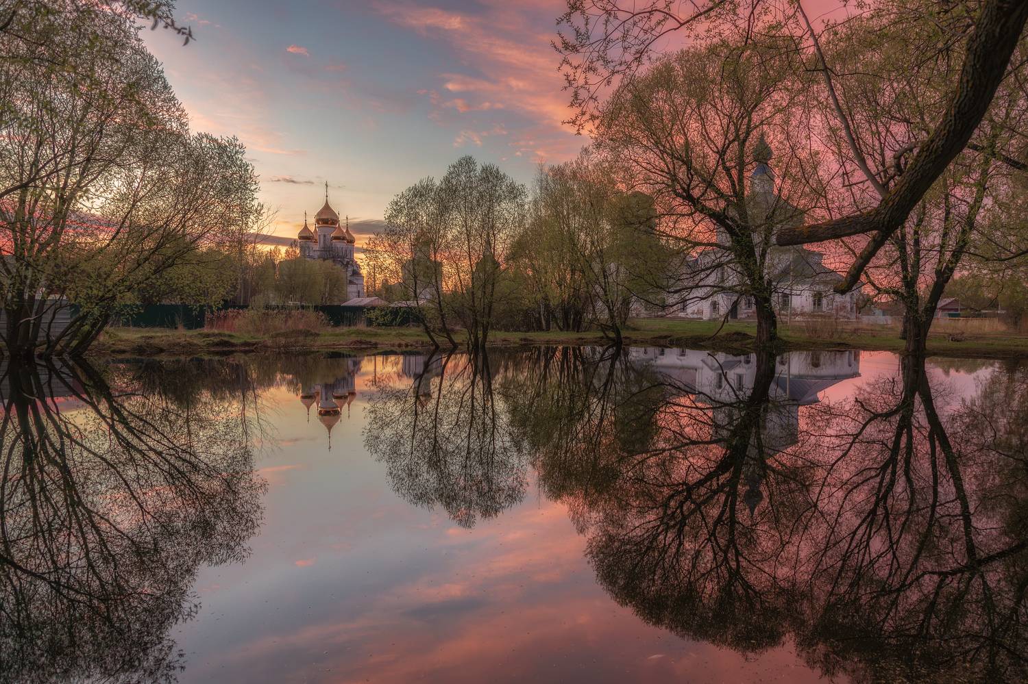 ярославская, область, Елена Гусева