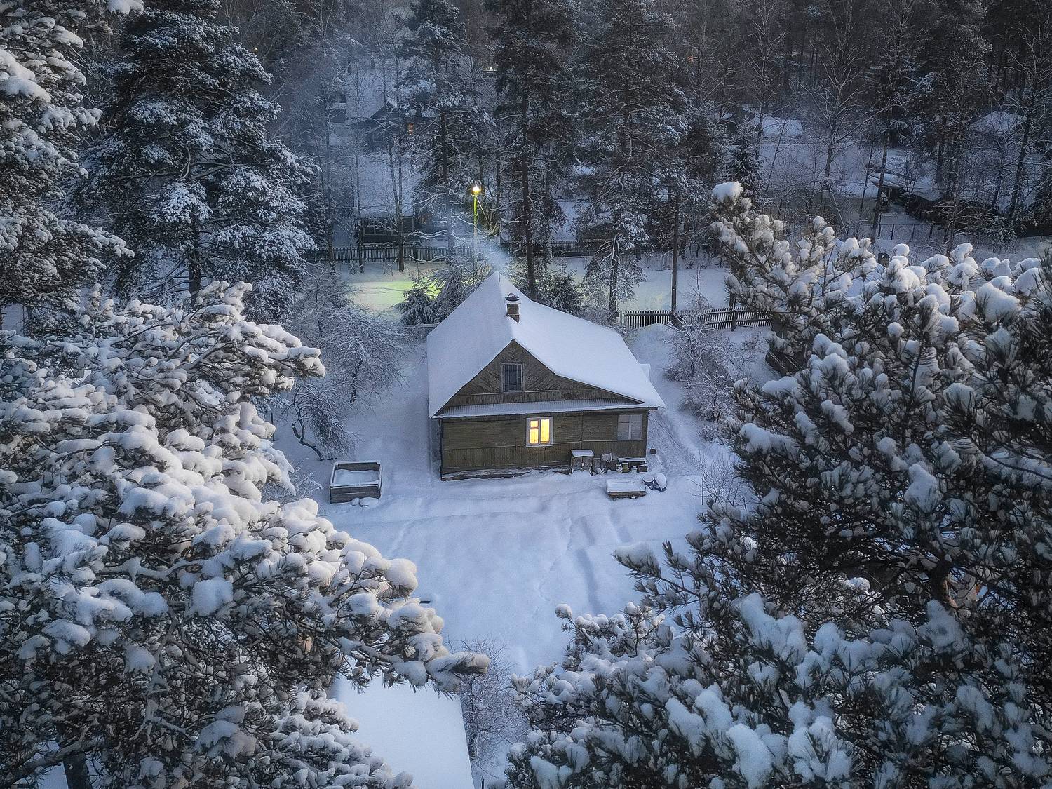 , Alexander Pashenichev