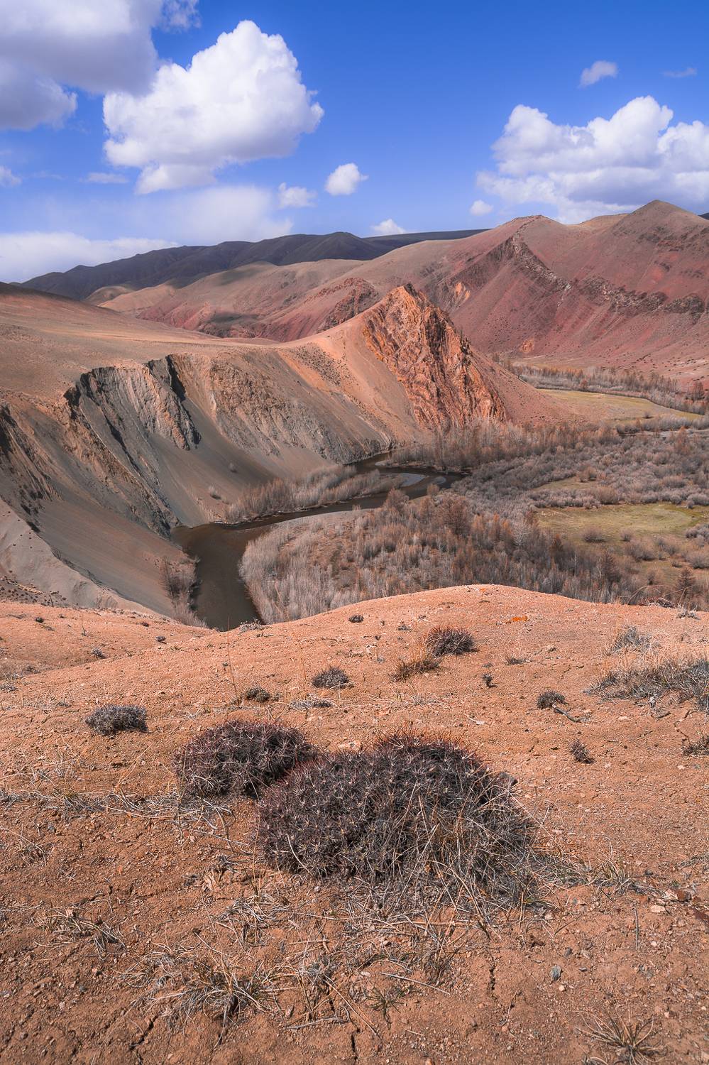 россия, горный алтай, Андрей Поляков