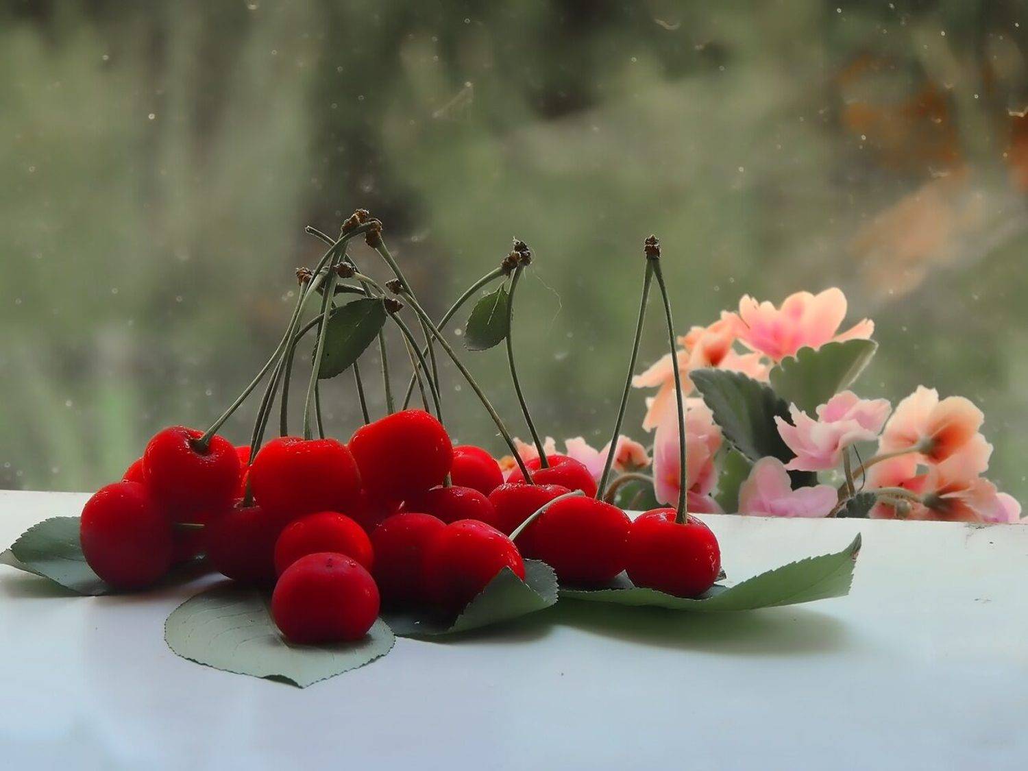 , Савоцкий Роман