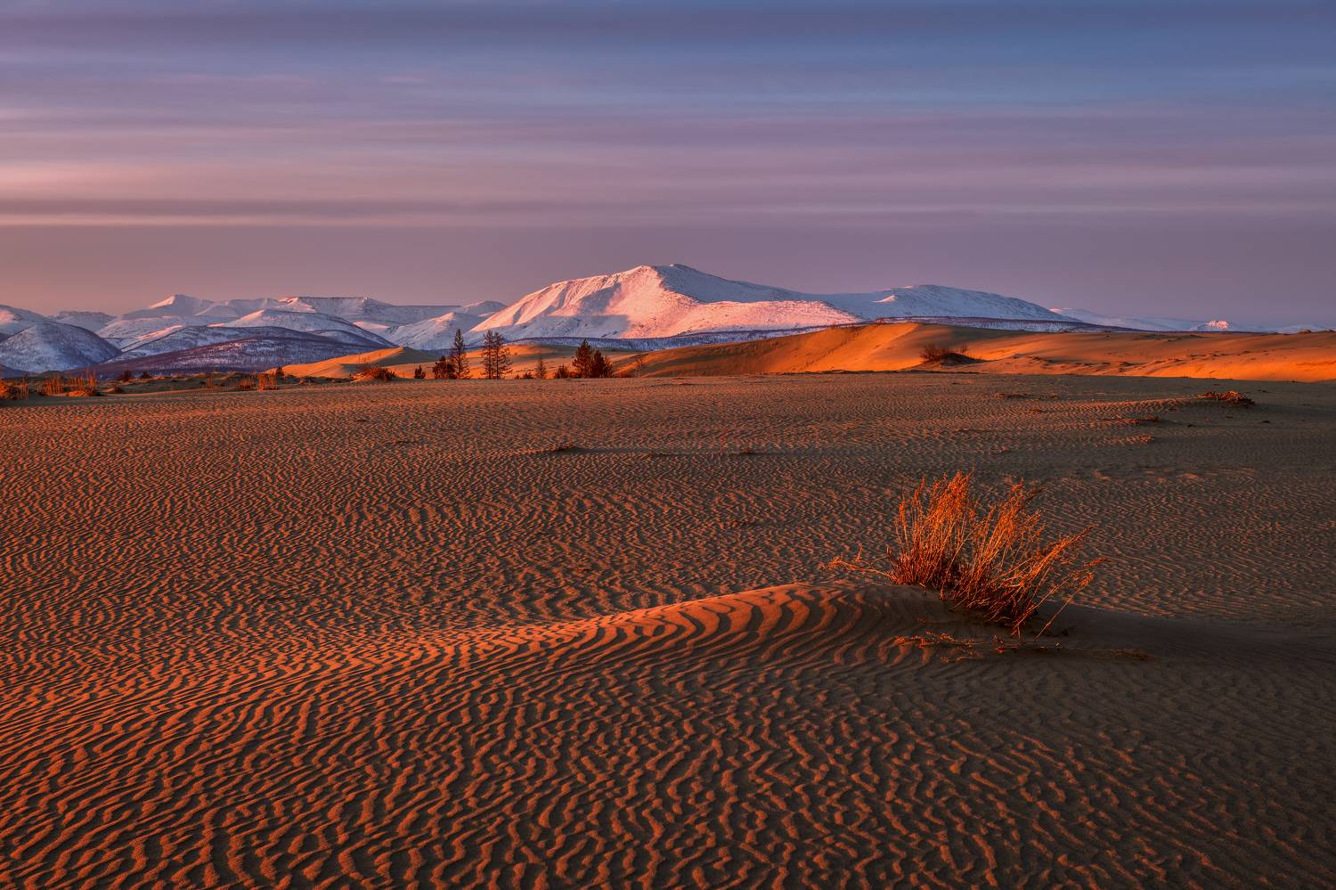 , Максим Евдокимов