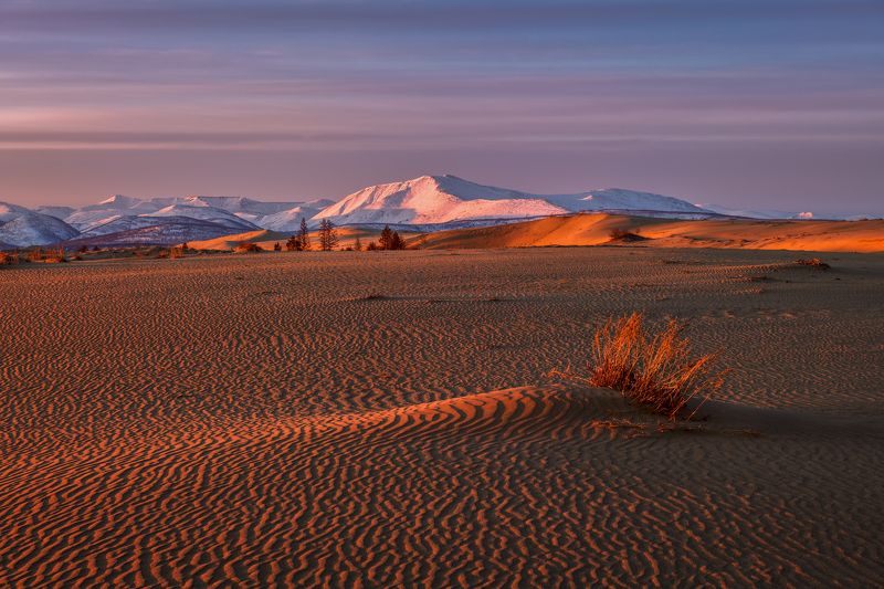 Утро в песках... фото превью