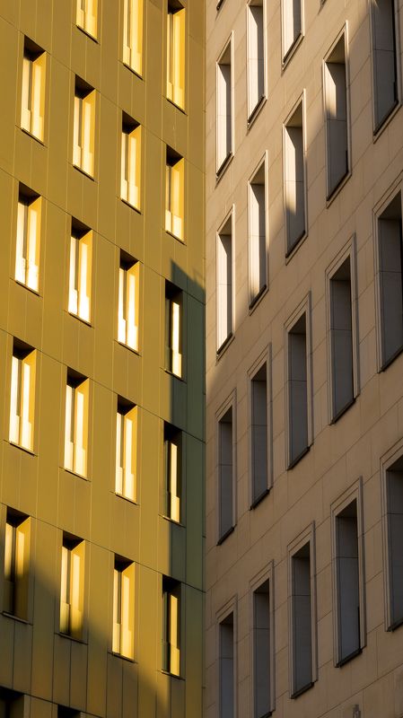 Золото фото превью