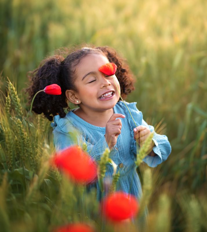 Red flower фото превью