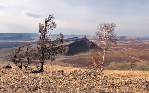 Легкий ветерок