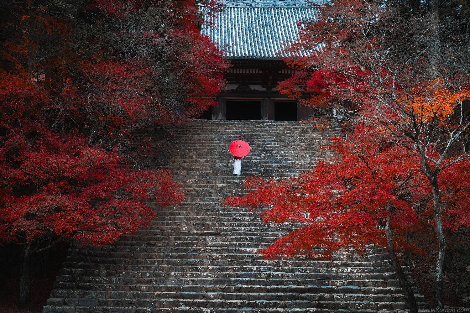 , Даниил Коржонов