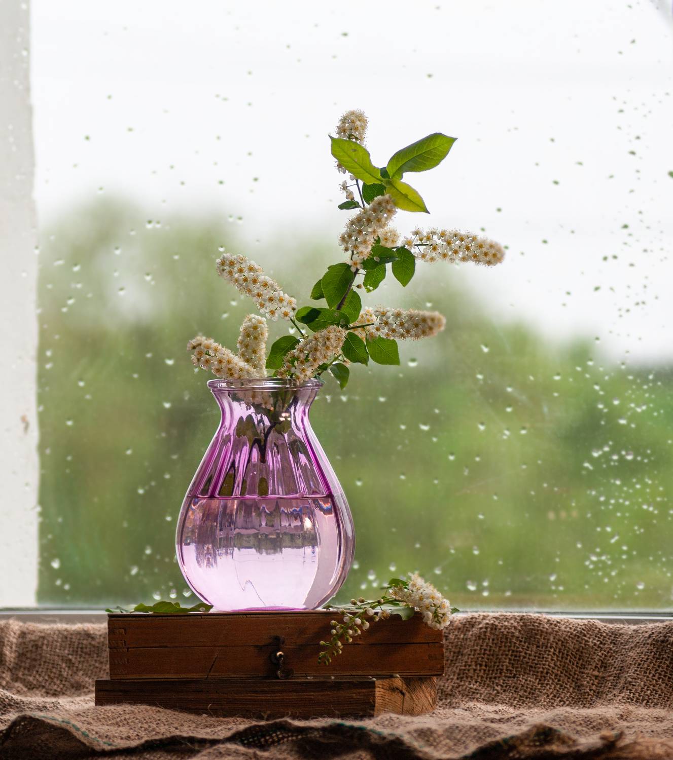 , Елена Павлюк