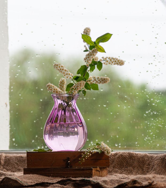 Холодная весна фото превью