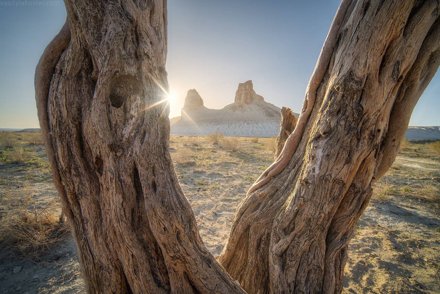 казахстан, фототур, яковлевфототур, мангистау, мангышлак, айракты, босжира, устюрт, карынжарык, тузбаир, торыш, туйесу, сенек, Василий Яковлев