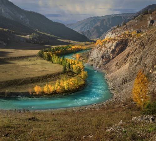 Чуя осенью.