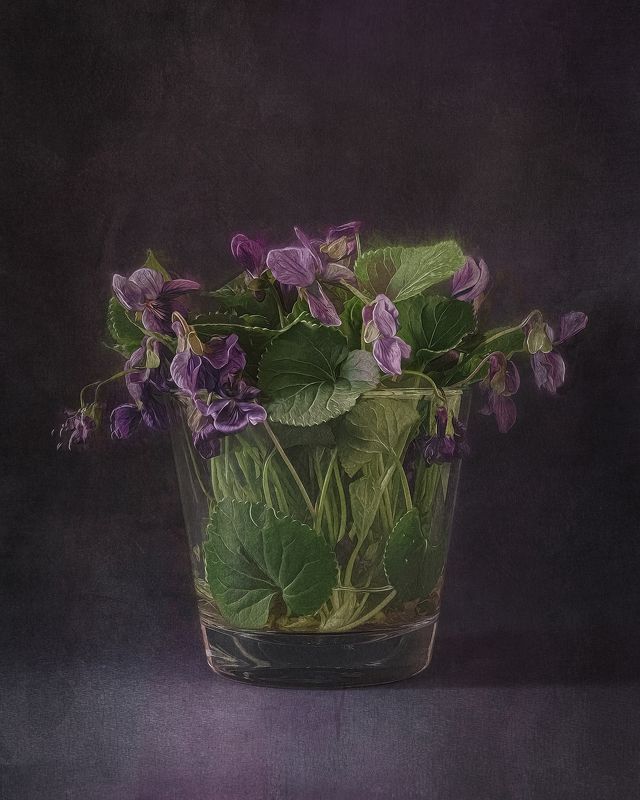 натюрморт, цветы, stilllife, flowers  фото превью