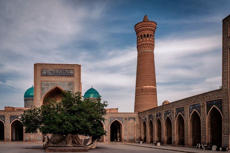 архитектура, узбекистан, бухара Бухара фото превью