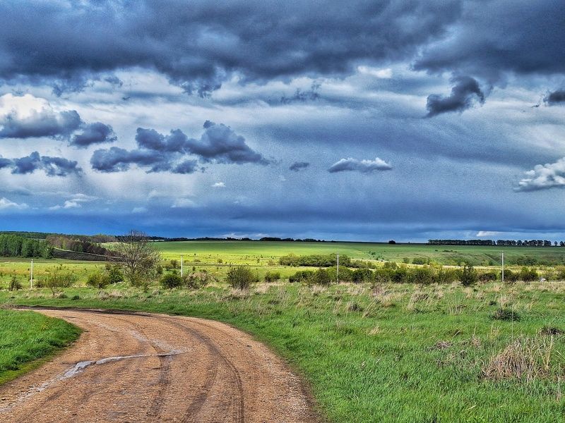 По дороге к источнику. фото превью