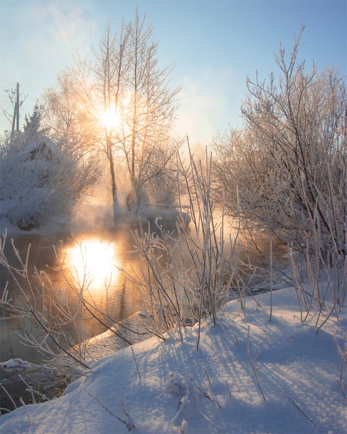 , Петр Косых