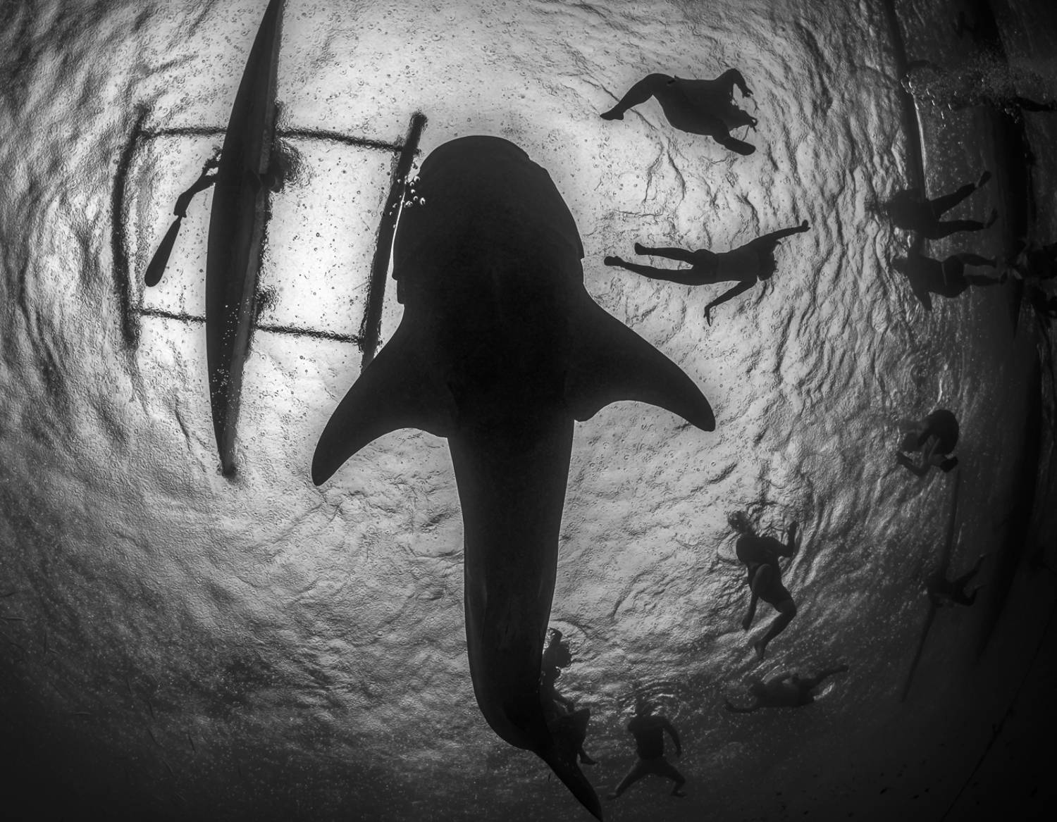 , Савин Андрей