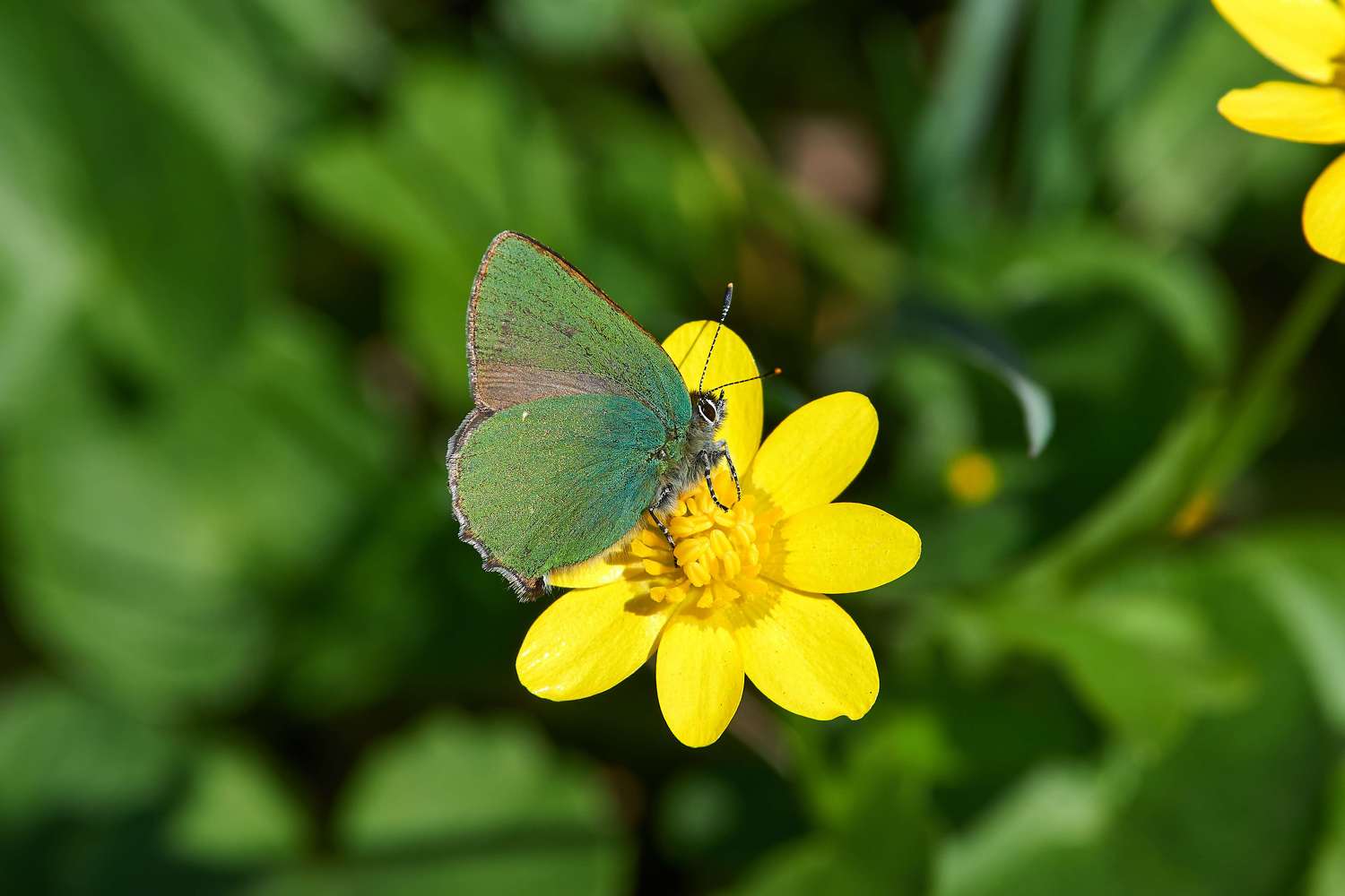 , Павел Сторчилов