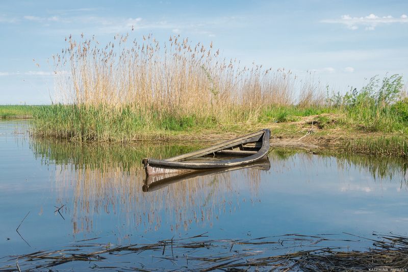 природа, пейзаж, весна *** фото превью