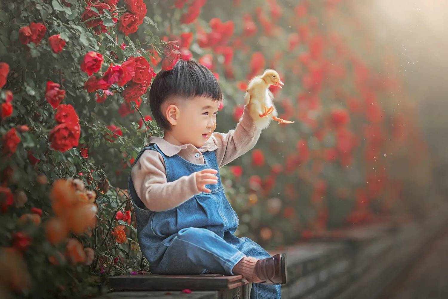 yao wenqi, 姚文琦