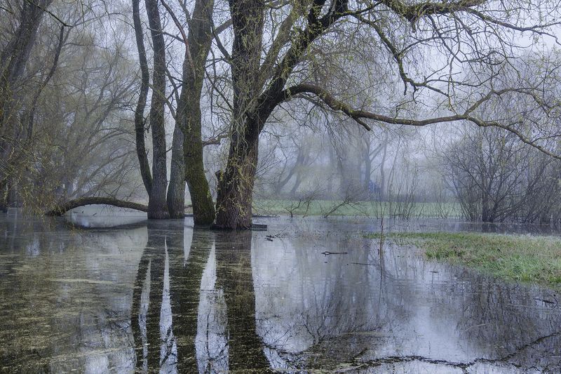 Утро фото превью